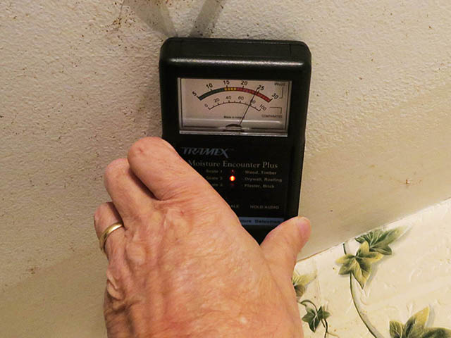 Testing a wall for elevated moisture