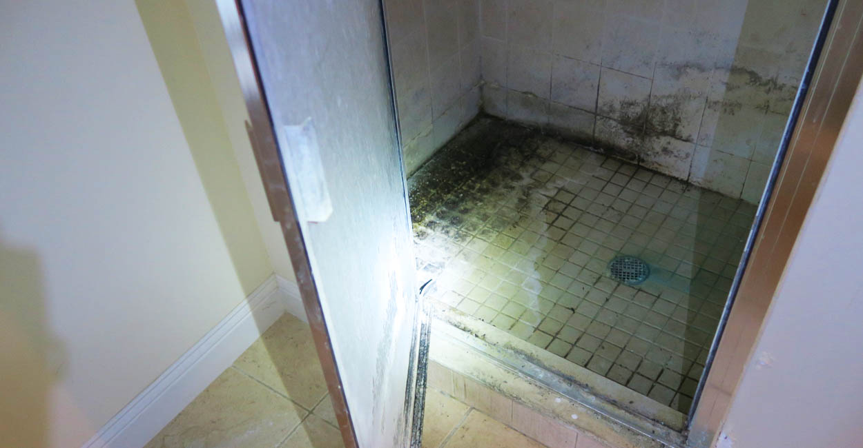Bathroom Shower with Black Mold on Tiles