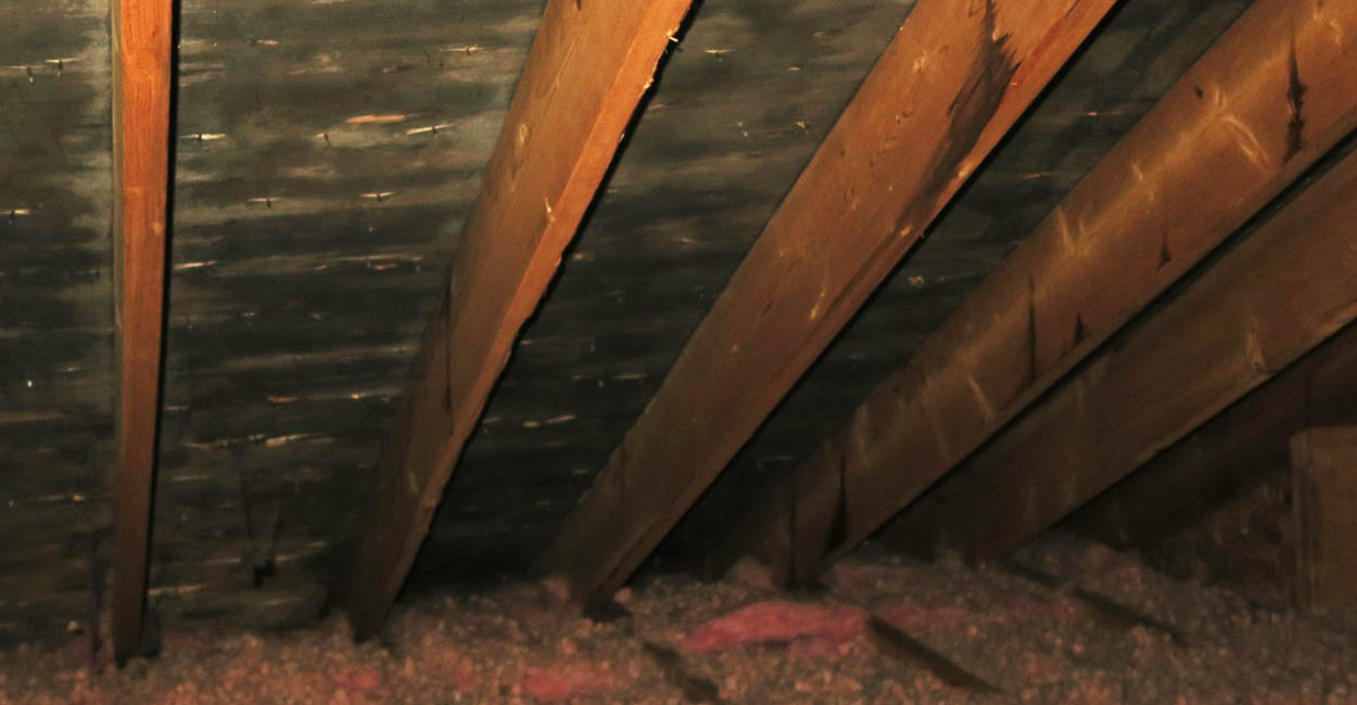 Poor attic ventilation caused this attic mold growth to develop.