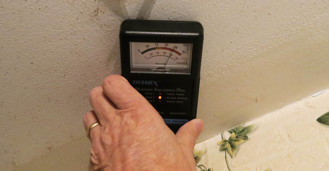 When a wet wall section is found mold growth will usually be found inside.